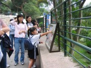 IMG_0015 * 2272 x 1704 * (2.4MB)