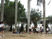 IMG_0087 * 2048 x 1536 * (1.94MB)