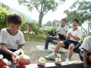 IMG_0155 * 2080 x 1560 * (1.79MB)