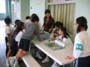 IMG_0119 * 2272 x 1704 * (1.34MB)