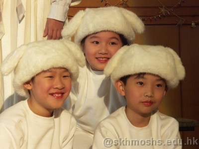 Click for the original image