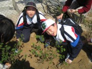 IMG_1085 * 1024 x 768 * (381KB)