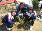 IMG_1086 * 1024 x 768 * (412KB)