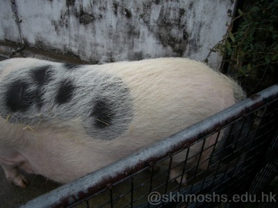 I[ݭlvɮ