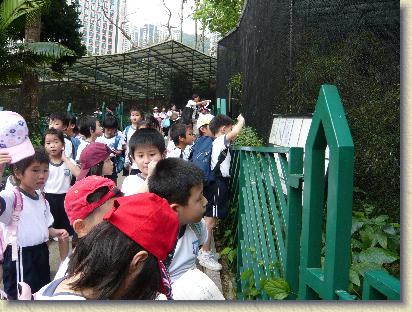 點選觀看原始影像檔案