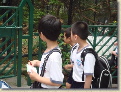 點選觀看原始影像檔案
